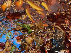 -味之绝热血美蛙鱼火锅(中坝店)