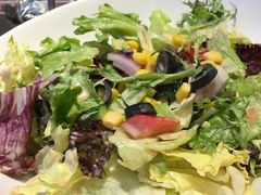 -辛德勒啤酒德餐厅