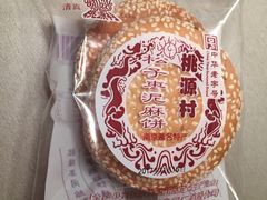 -桃源村(南大店)