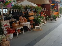 -京北渔家傲