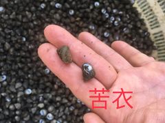-硇洲岛旅游区