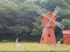 -苏州上方山国家森林公园