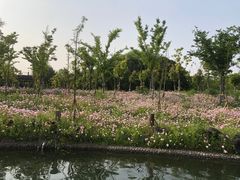 -太阳岛度假酒店