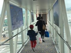 -威海大水泊国际机场