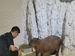 -重庆欢乐海底世界