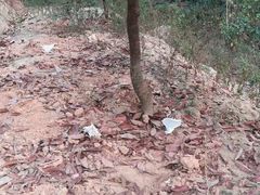 -彩虹桥宠物火化殡葬善终服务(金乐大厦店)