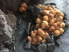 -鸣记脆皮烤鱼(岐山路店)