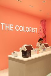 -THE COLORIST调色师