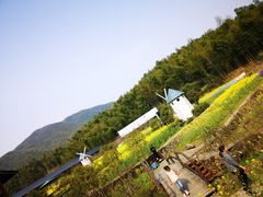 -宁波浙东大竹海景区
