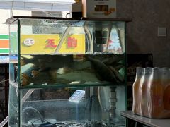 -煲来饱去冷水鱼