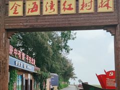 -北海金海湾红树林生态旅游区