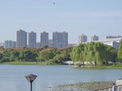 -贡湖湾湿地公园