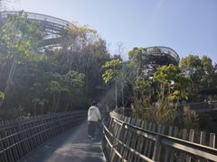 -福道