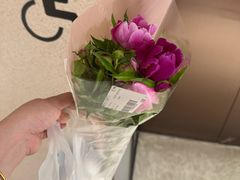 -T11生鲜超市(朝阳公园店)