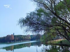 -新洲生态园