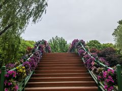 -上海鲜花港