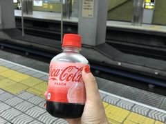 -鹤桥风月(ヨドバシ梅田店)