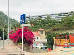 -立新湖公园