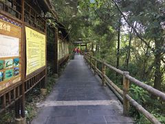 -阿依河景区