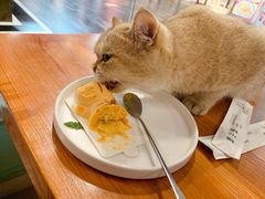 -猫小院猫主题餐厅(三里屯店)