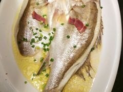 -高第街56号餐厅(银座商城玉函店)