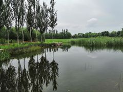 -张家湾公园