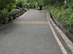 -南京市江宁方山