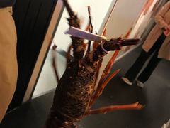 -同乐酒楼(皇后镇店)