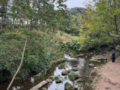 -重庆彩云湖湿地公园