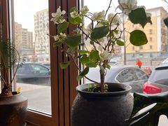 -珺可咖啡(恩菲科技大厦店)