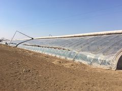 -杨柳青园艺科技博览园