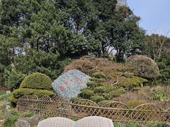 -中山公园