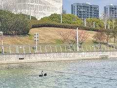 -东方体育中心(地铁站)