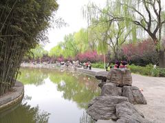 -洛阳市隋唐城遗址植物园