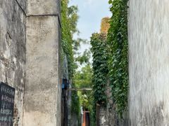 -乌镇东栅景区