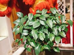-衡山汇·高级粤菜(霄云路店)