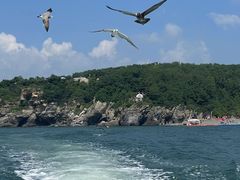 -大连金石滩滨海国家地质公园