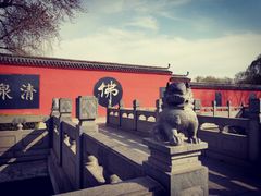 -百脉泉景区
