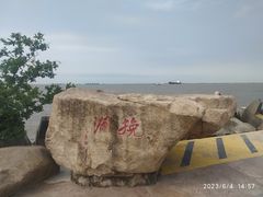-上海滨江森林公园