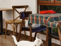 -有猫主题·治愈系猫咖(曾厝垵店)