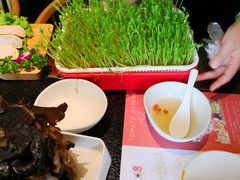 -番食园鲜食火锅(高新店)