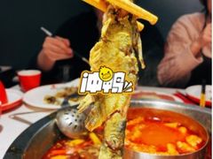 -蜀滋香鲜鱼美蛙火锅(339店)