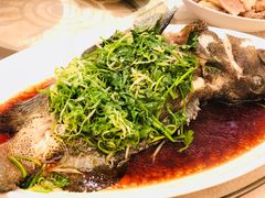 -海港酒家(上水新丰店)