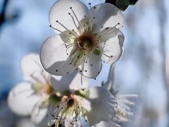 -广州市流溪河国家森林公园