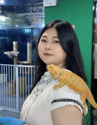 -神奇动物撸宠馆·羊驼·小浣熊·异宠(豫园店)
