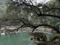 -忠山公园