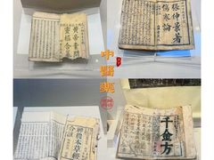 -广东中医药博物馆