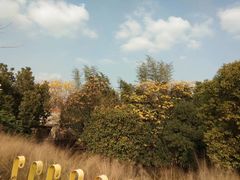-嘉北郊野公园