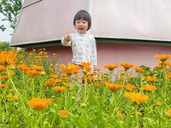 -武汉紫薇都市田园