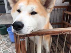 -大唐BINGO主题酒吧互动式KTV(苏宁生活广场店)